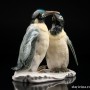 Императорские пингвины, Karl Ens, Германия, 1950 гг