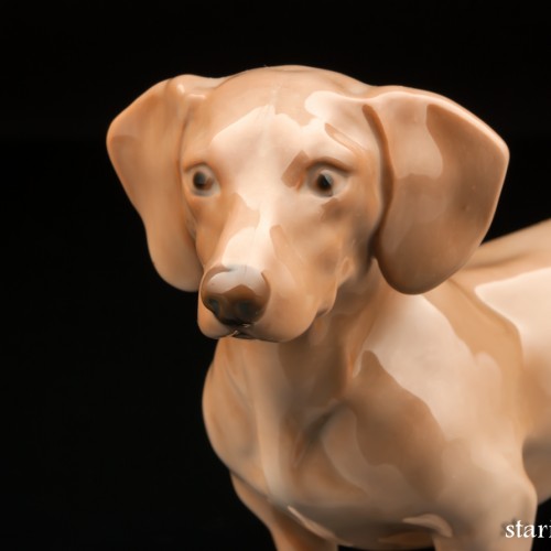 Такса, Bing & Grondahl, Дания