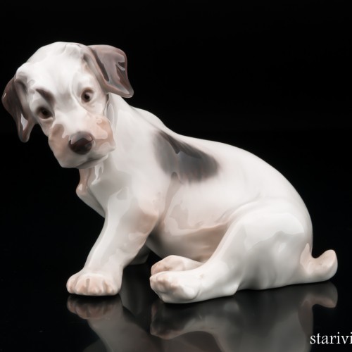 Терьер, Bing & Grondahl, Дания