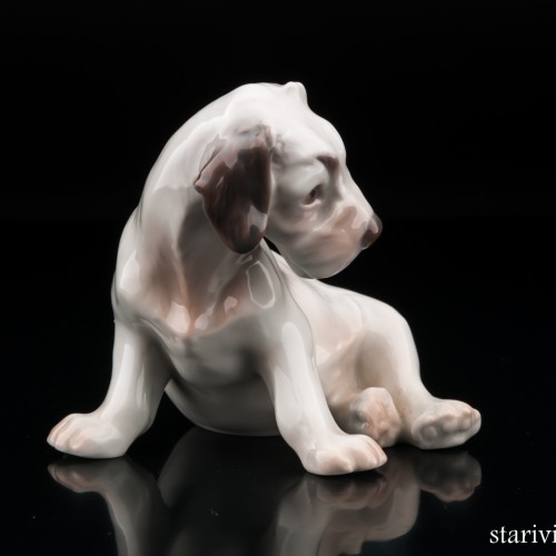 Терьер, Bing & Grondahl, Дания