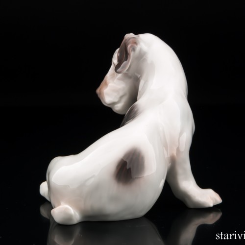 Терьер, Bing & Grondahl, Дания