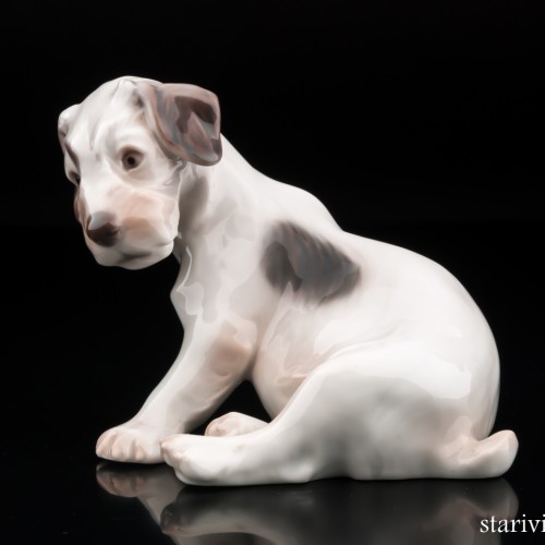 Терьер, Bing & Grondahl, Дания