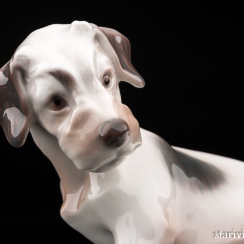 Терьер, Bing & Grondahl, Дания