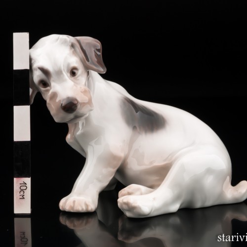 Терьер, Bing & Grondahl, Дания