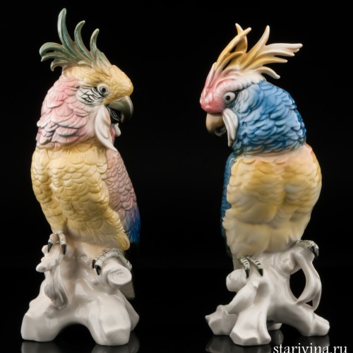 Попугай какаду голубой, Karl Ens, Германия, 1920-30 гг