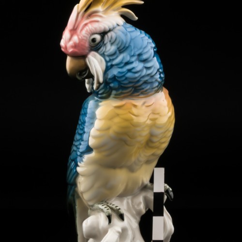 Попугай какаду голубой, Karl Ens, Германия, 1920-30 гг