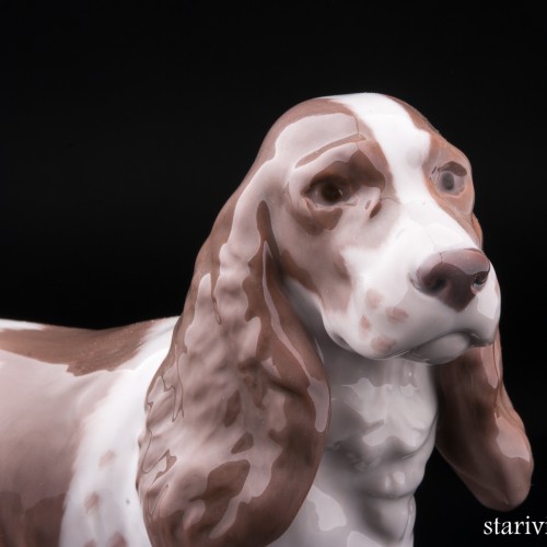 Кокер-спаниель, Bing & Grondahl, Дания