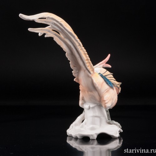 Фазан, Karl Ens, Германия, 1920-30 гг