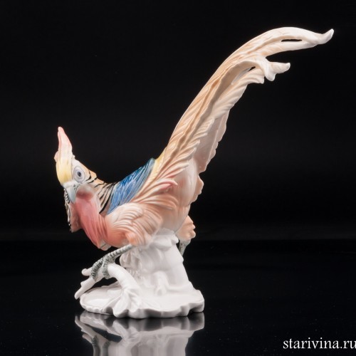 Фазан, Karl Ens, Германия, 1920-30 гг