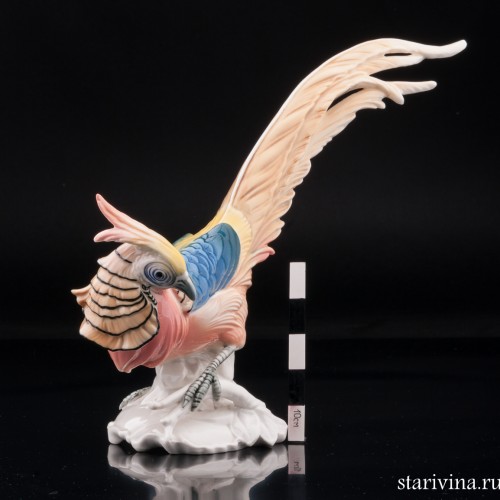 Фазан, Karl Ens, Германия, 1920-30 гг