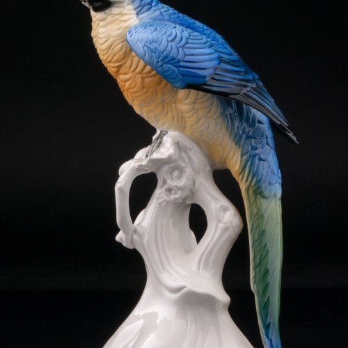 Попугай ара, Karl Ens, Германия