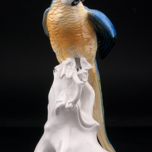 Попугай ара, Karl Ens, Германия