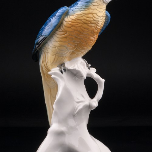 Попугай ара, Karl Ens, Германия