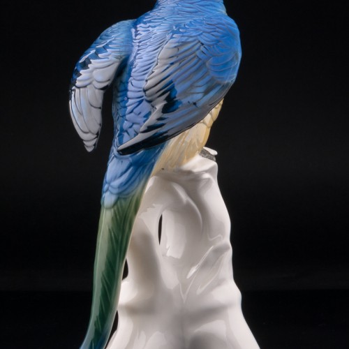 Попугай ара, Karl Ens, Германия