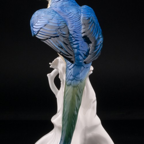 Попугай ара, Karl Ens, Германия