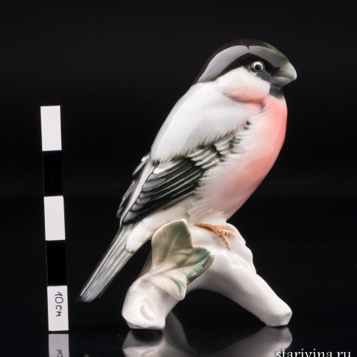 Снегирь, Karl Ens, Германия