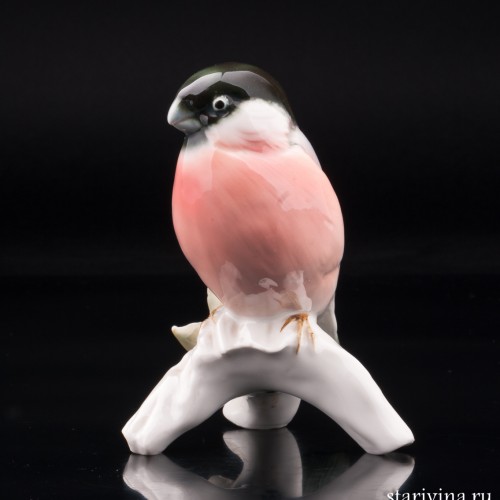 Снегирь, Karl Ens, Германия