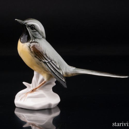 Желтая трясогузка, Karl Ens, Германия