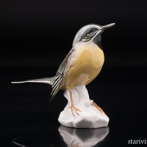 Желтая трясогузка, Karl Ens, Германия