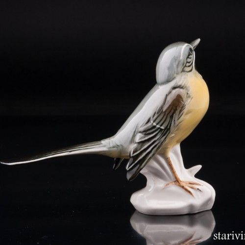 Желтая трясогузка, Karl Ens, Германия