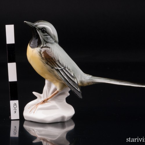 Желтая трясогузка, Karl Ens, Германия