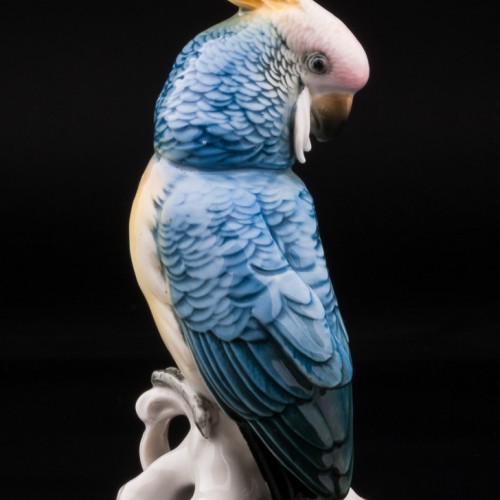 Попугай какаду синий, Karl Ens, Германия, 1920-30 гг