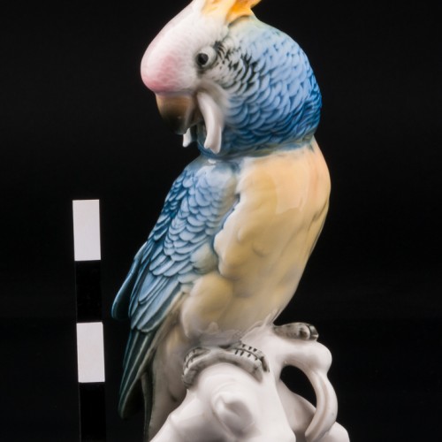 Попугай какаду синий, Karl Ens, Германия, 1920-30 гг