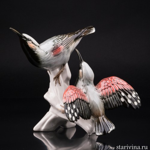 Два стенолаза, Karl Ens, Германия