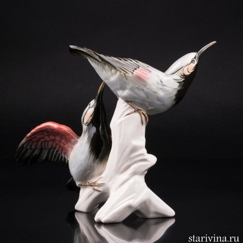 Два стенолаза, Karl Ens, Германия