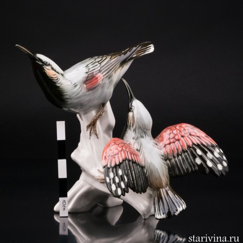 Два стенолаза, Karl Ens, Германия