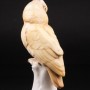 Попугай желтый какаду, Karl Ens, Германия, 1920-30 гг