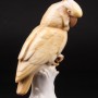 Попугай желтый какаду, Karl Ens, Германия, 1920-30 гг