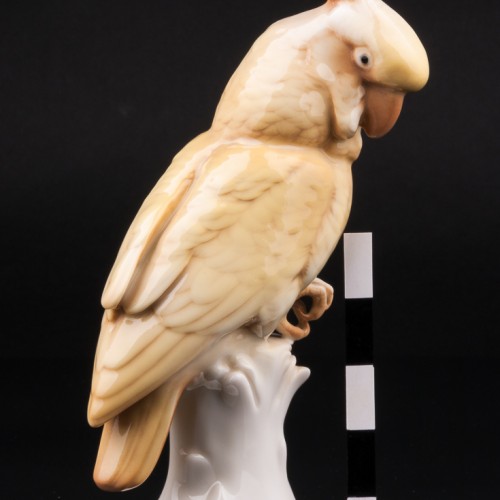 Попугай желтый какаду, Karl Ens, Германия, 1920-30 гг