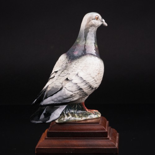 Голубь, Beswick, Великобритания