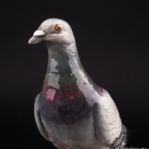 Голубь, Beswick, Великобритания