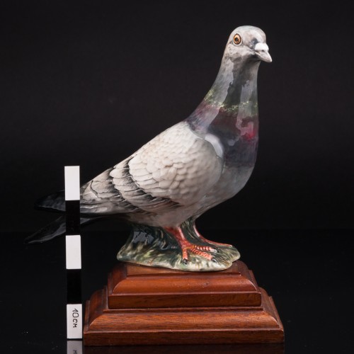 Голубь, Beswick, Великобритания