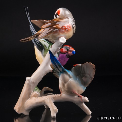 Три амадины на ветке, Hutschenreuther, Германия, 1970 гг