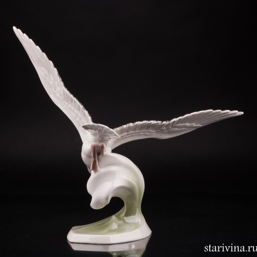 Чайка, Keramos, Австрия