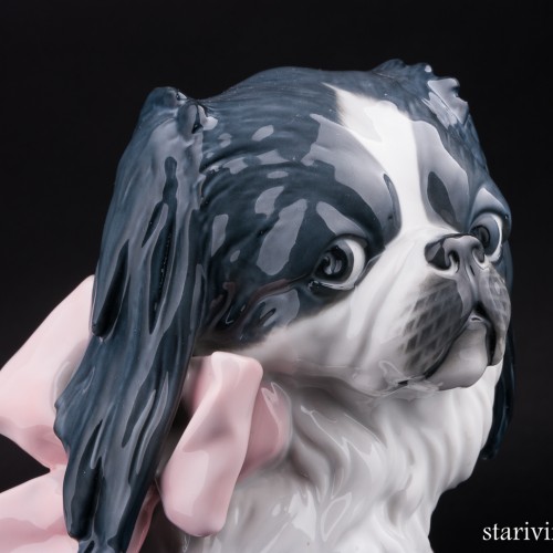 Собака с бантом, Германия, нач. 20 в