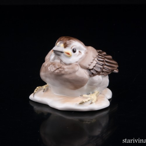 Птенчик воробья, Augarten, Австрия