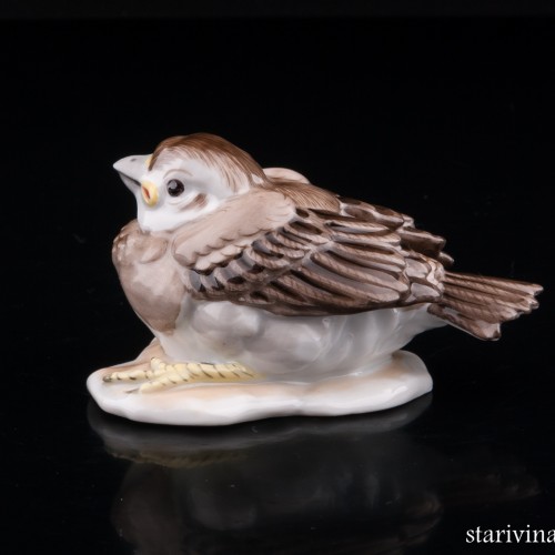 Птенчик воробья, Augarten, Австрия