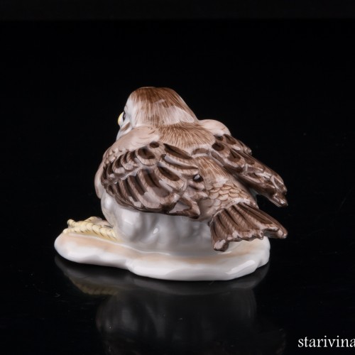 Птенчик воробья, Augarten, Австрия