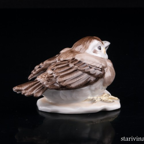 Птенчик воробья, Augarten, Австрия