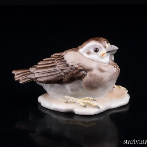 Птенчик воробья, Augarten, Австрия