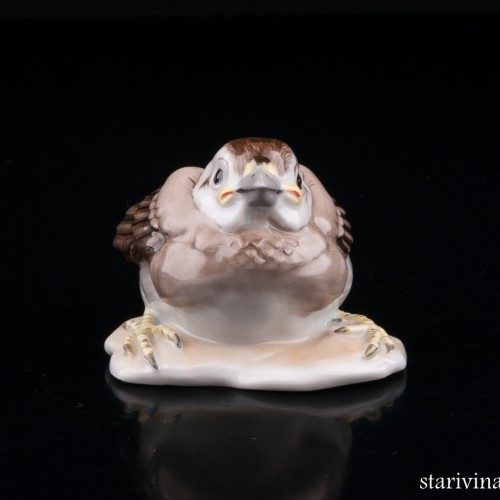 Птенчик воробья, Augarten, Австрия