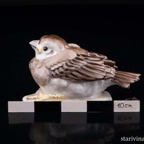 Птенчик воробья, Augarten, Австрия