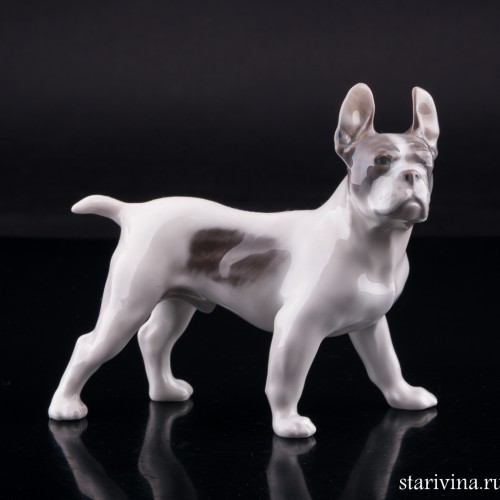 Бостонский терьер, Royal Copenhagen, Дания, 1960 г