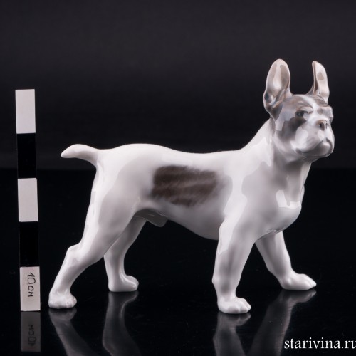 Бостонский терьер, Royal Copenhagen, Дания, 1960 г