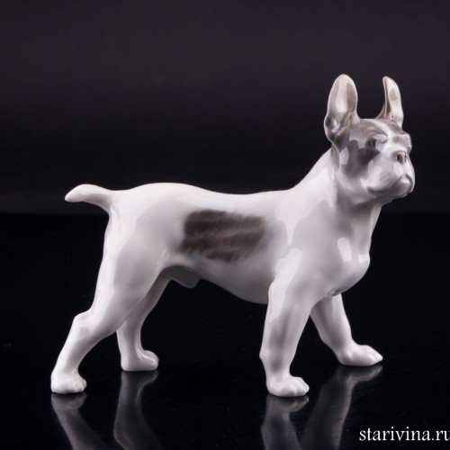 Бостонский терьер, Royal Copenhagen, Дания, 1960 г