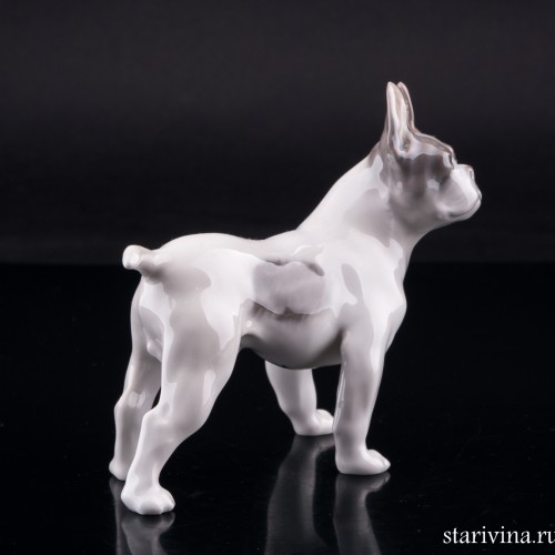 Бостонский терьер, Royal Copenhagen, Дания, 1960 г